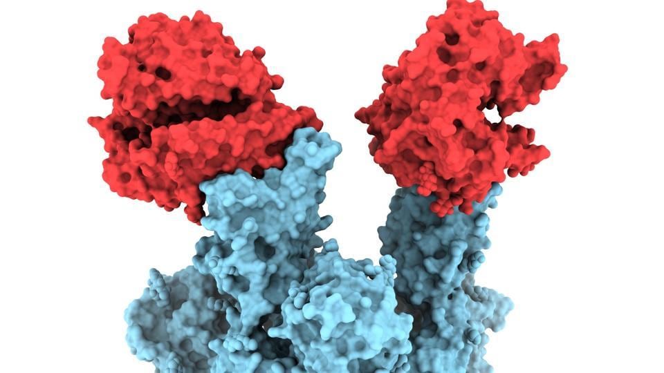 90-year-old infected with 'two Covid-19 variants at once'; rare phenomenon underestimated