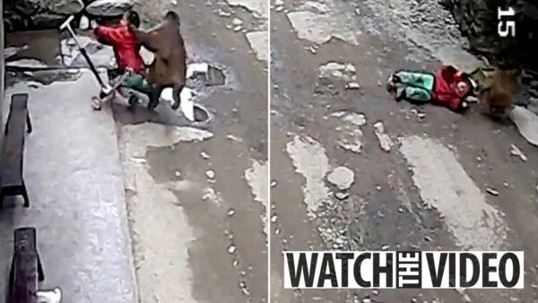 Wild monkey tries to kidnap toddler playing outside home