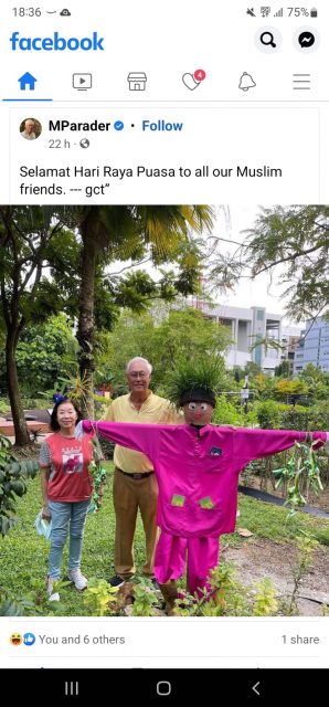 Ex-PM Goh Chok Tong shares photo taken with scarecrow dressed in Malay outfit to wish his Muslim friends Selamat Hari Raya