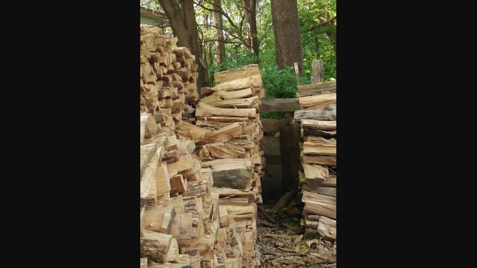 there-is-a-cat-hidden-in-this-log-pile.-how-quickly-can-you-spot-it?