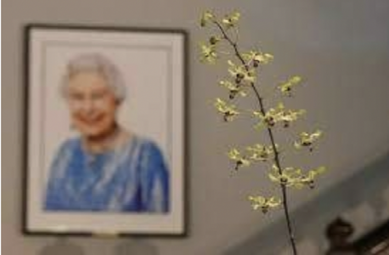 queen elizabeth