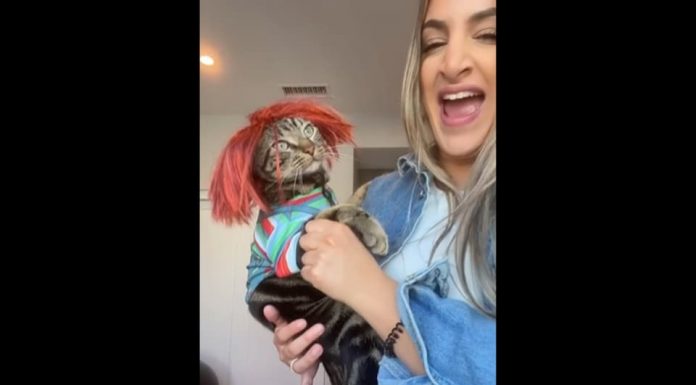 Chucky