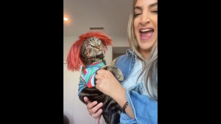 Chucky