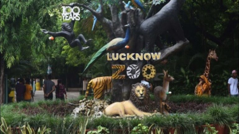 zoo