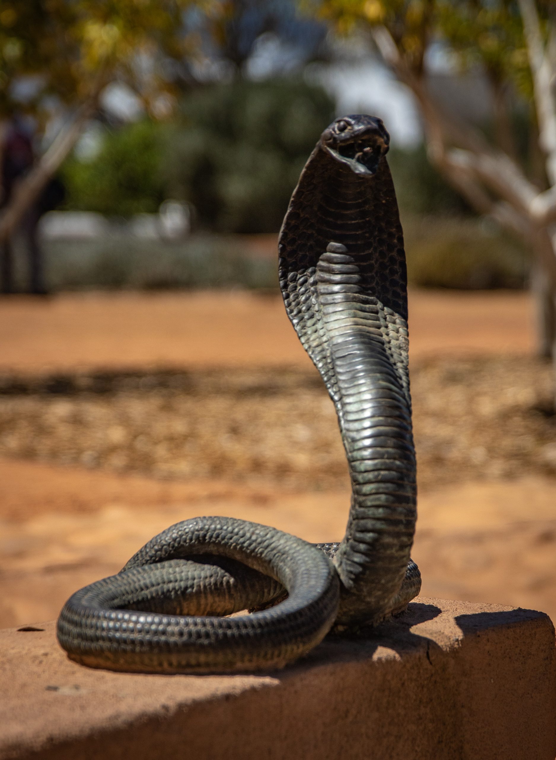 poisonous snake