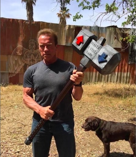 Arnold Schwarzenegger sued over car accident leaving woman ‘permanently disabled’