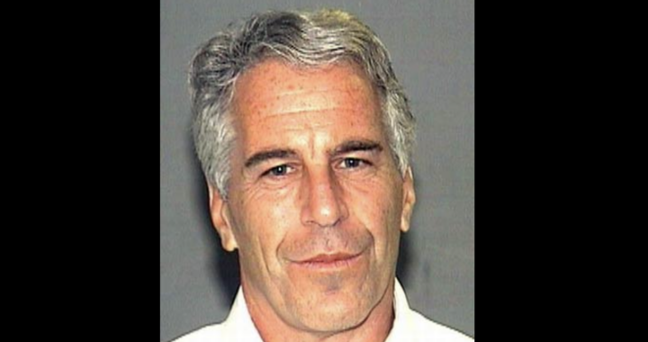 Epstein papers