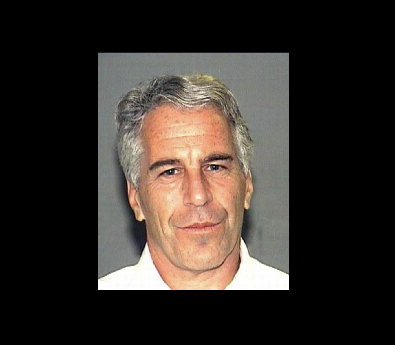 Epstein papers