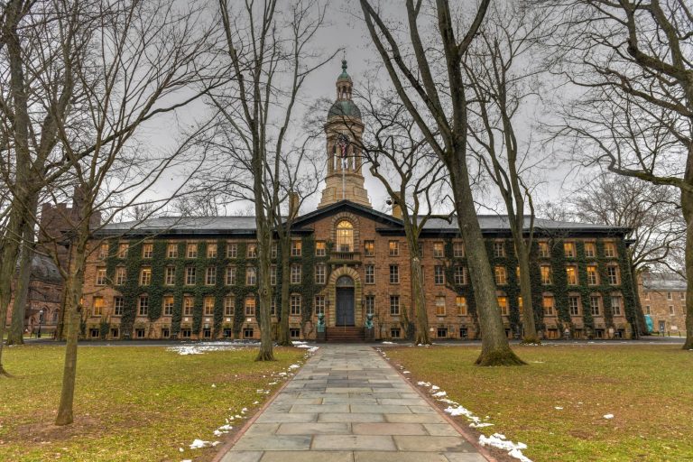 Ivy League dreams: A path to prestige and prosperity