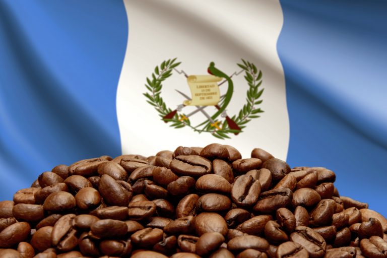 Guatemalan coffee exporters stunned by China’s sudden ban