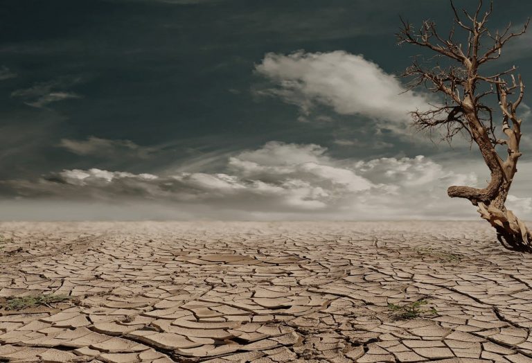 ‘Biggest con ever?’ Prof. Ian Plimer challenges climate change narrative