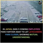 Japan’s radical parking strategy: Early employees sacrifice for the sake of harmony